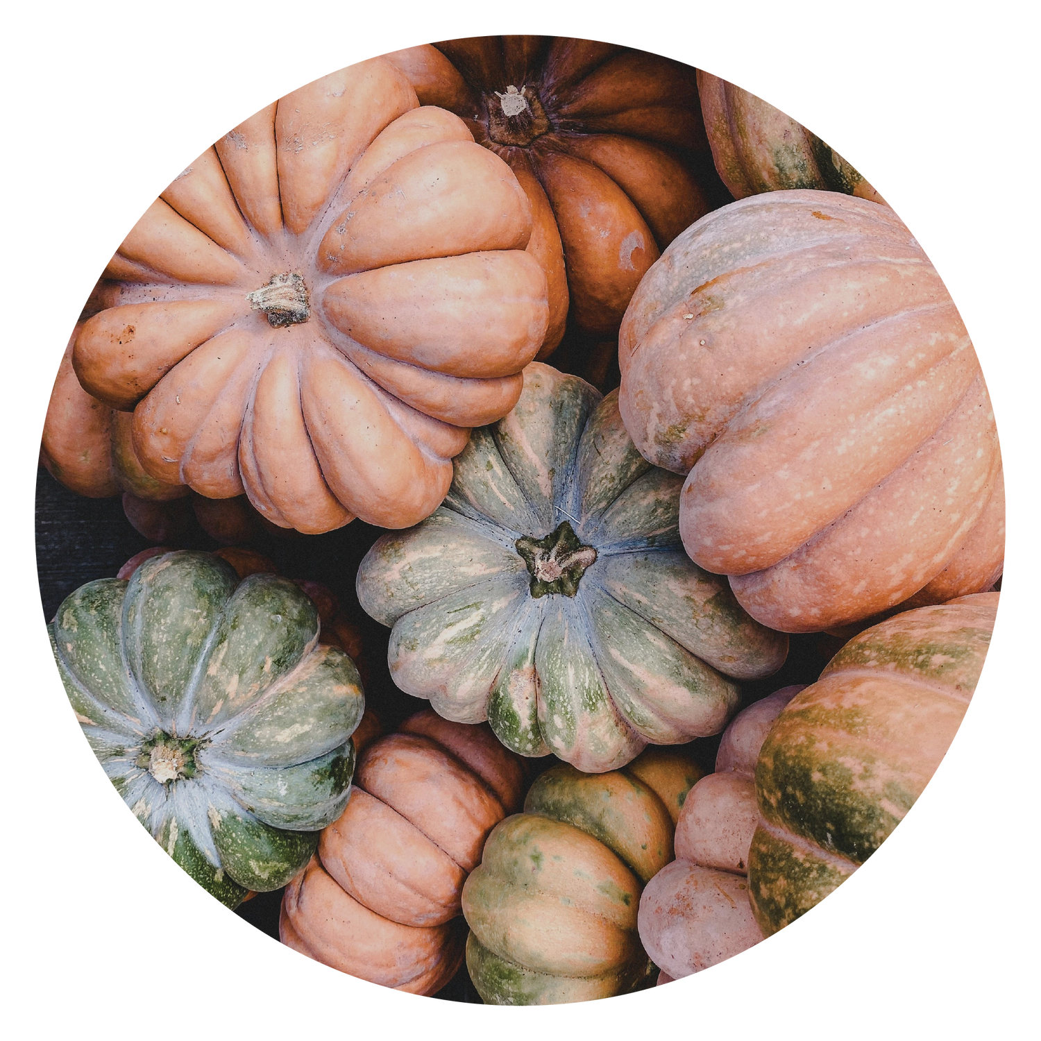 Fall